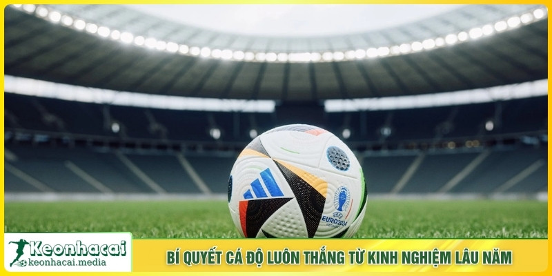 Bí quyết cá độ luôn thắng từ kinh nghiệm lâu năm