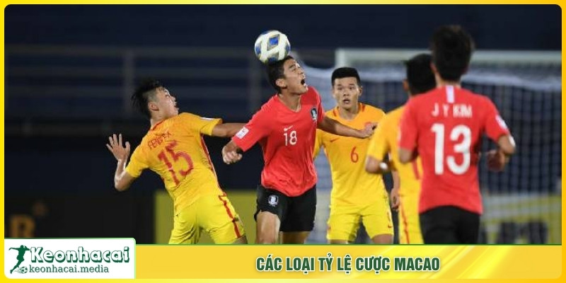Các loại tỷ lệ cược Macao
