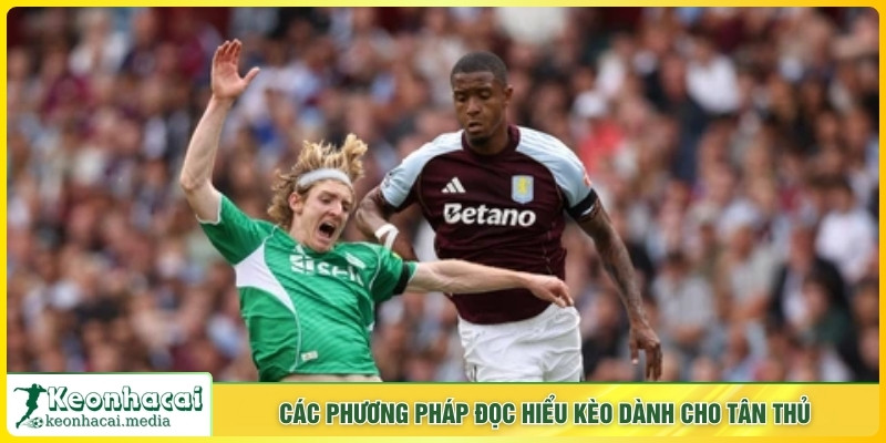 Các phương pháp đọc hiểu kèo dành cho tân thủ