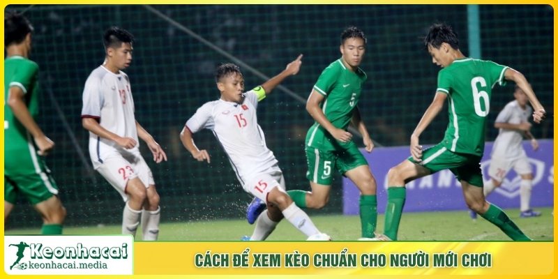 Cách để xem kèo chuẩn cho người mới chơi
