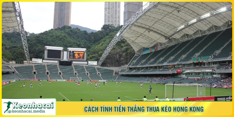 Cách tính tiền thắng thua kèo Hong Kong