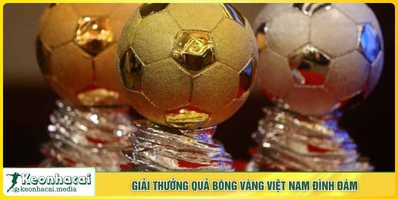 Giải thưởng quả bóng vàng Việt Nam đình đám