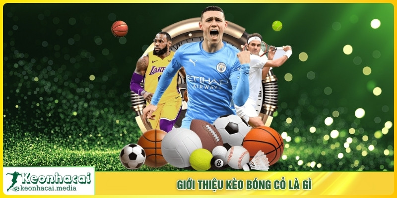 Giới thiệu kèo bóng cỏ là gì