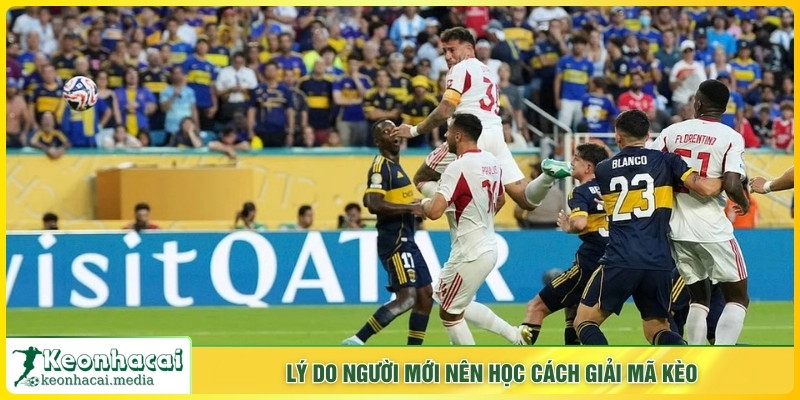 Lý do người mới nên học cách giải mã kèo