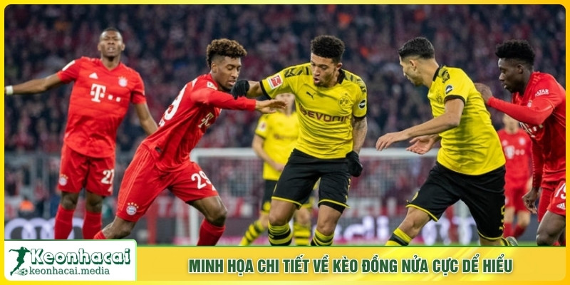 Minh họa chi tiết về cược đồng nửa cực dể hiểu