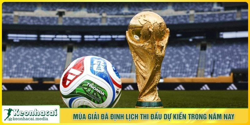 Mùa giải đã định lịch thi đấu dự kiến trong năm nay