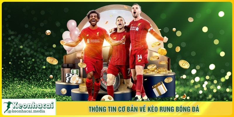 Thông tin cơ bản về kèo rung bóng đá
