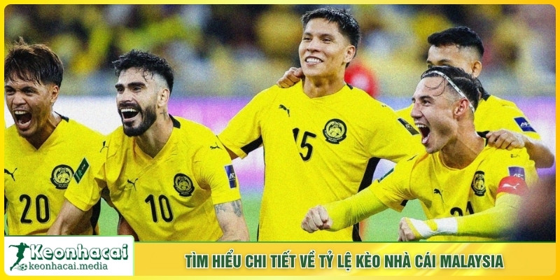 Tìm hiểu chi tiết về cá độ kèo nhà cái Malaysia